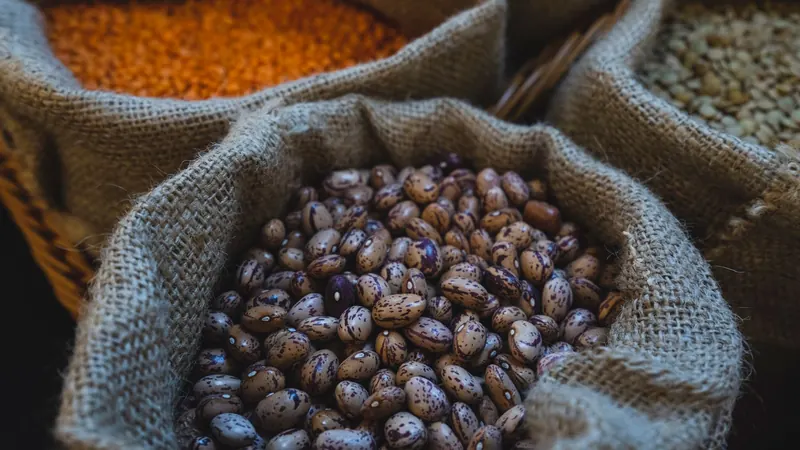 Çuval içinde kuru fasulye, kırmızı mercimek ve nohut; bitkisel protein kaynakları